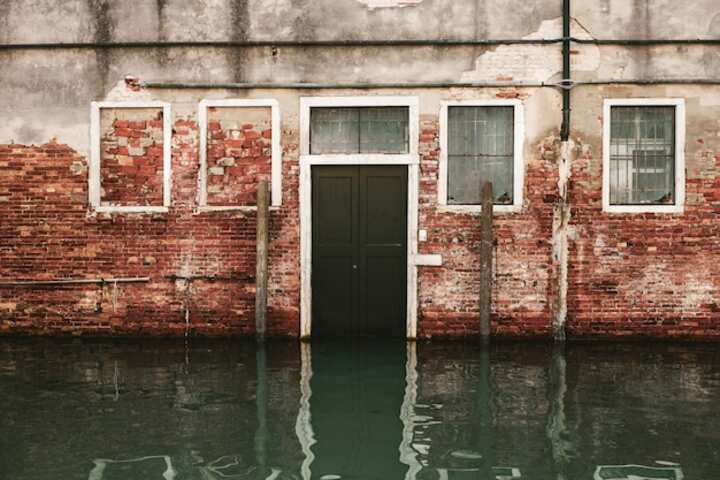 Expert Water Extraction Services Near Me for Quick Drying Solutions