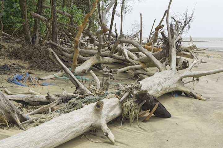 Top Debris Removal Services in Sherman Find Professional Experts Near You